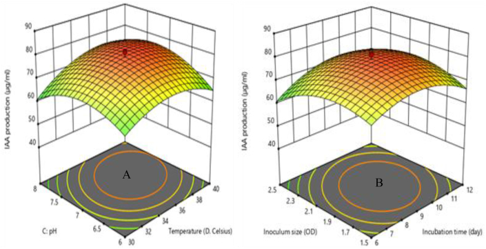 Figure 5