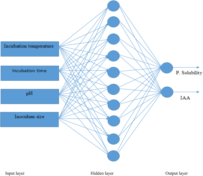 Figure 1