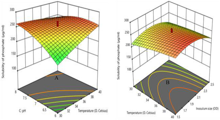 Figure 4