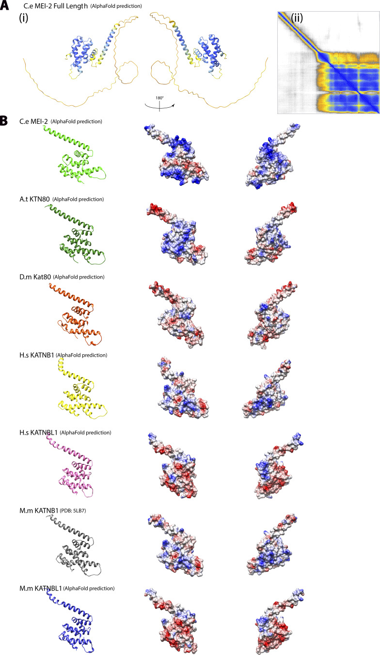 Figure S4.