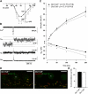 Figure 6