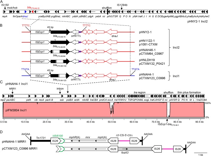 FIG 1