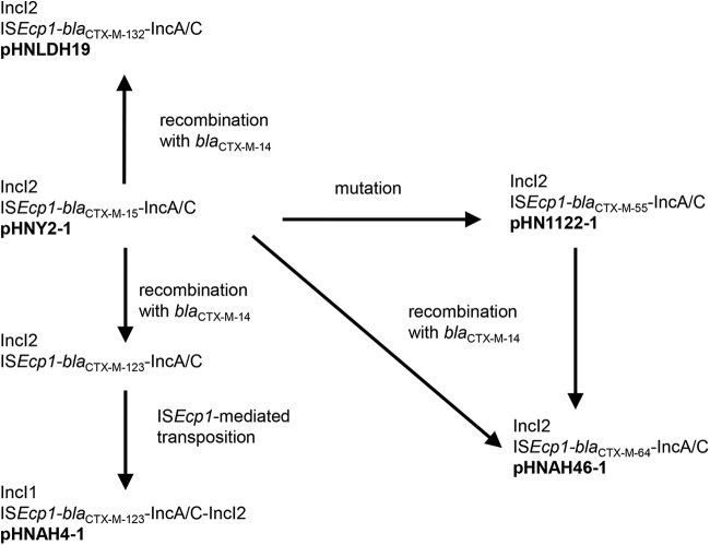 FIG 2