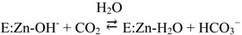 graphic file with name biomolecules-03-00553-i001.jpg