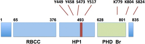 Figure 1