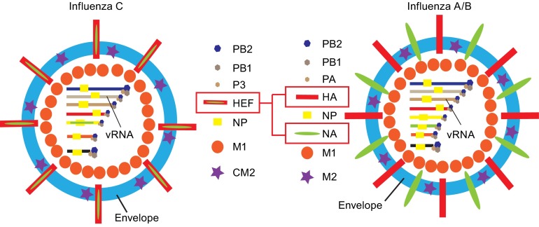 Figure 1