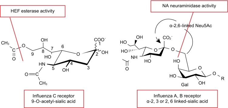 Figure 7