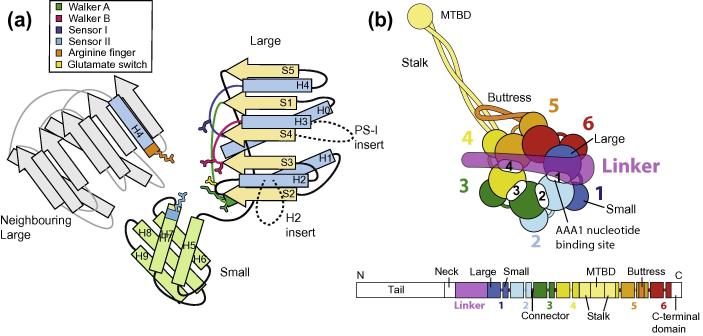 Fig.1