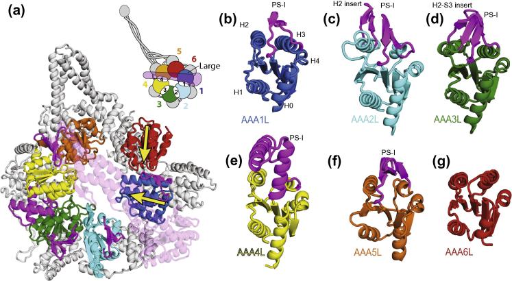 Fig.2