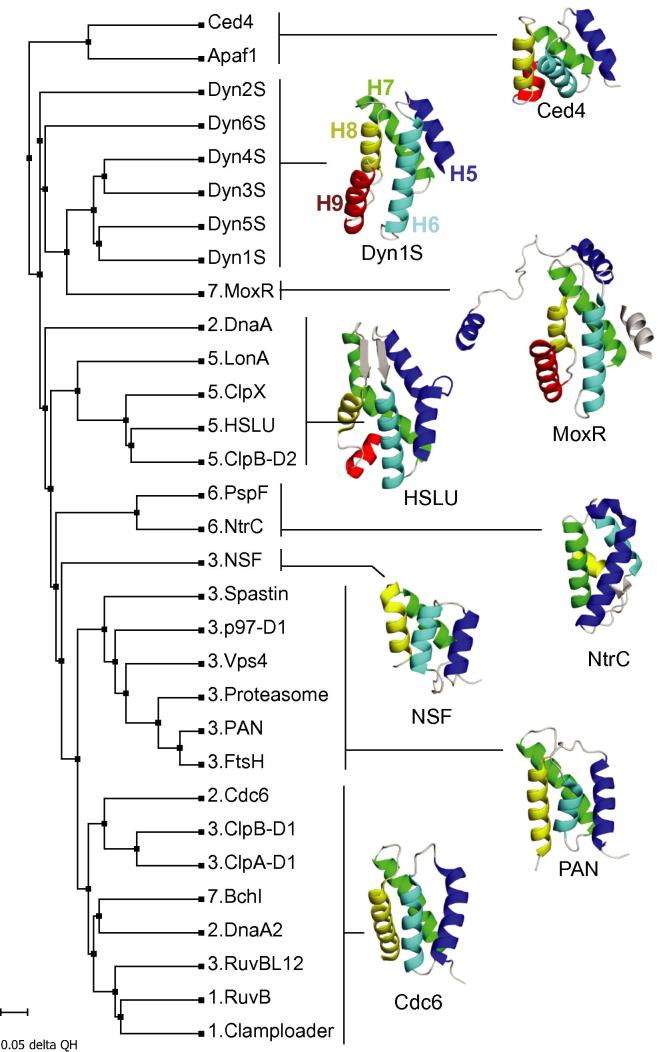 Fig.4