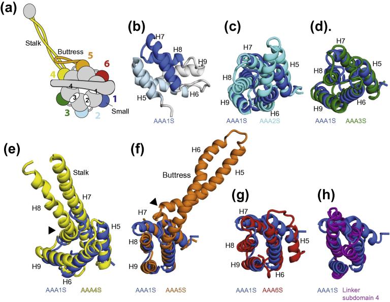 Fig.3