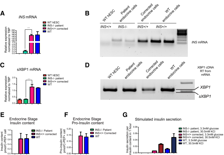 Figure 3