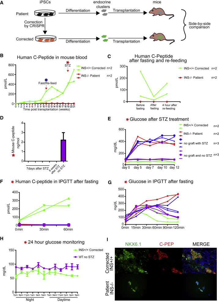 Figure 4