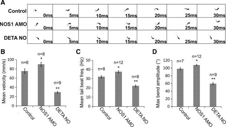 Figure 12.