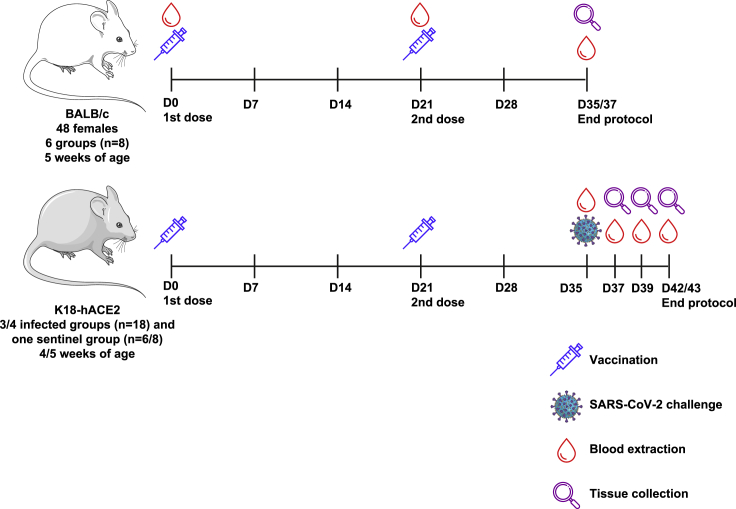 Figure 2