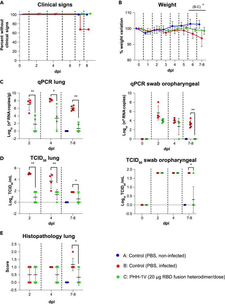 Figure 6