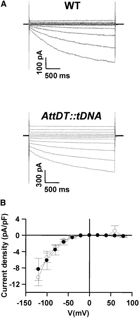 Figure 7.