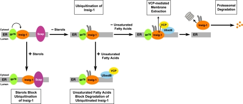 FIGURE 10.