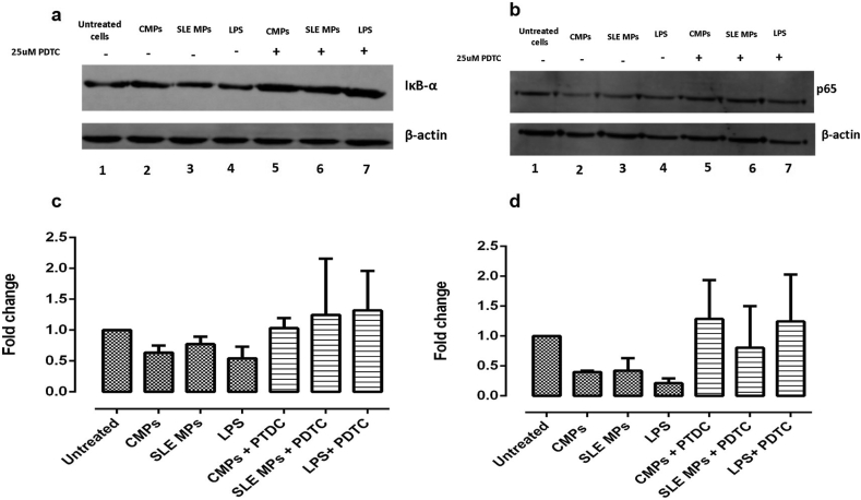 Figure 5