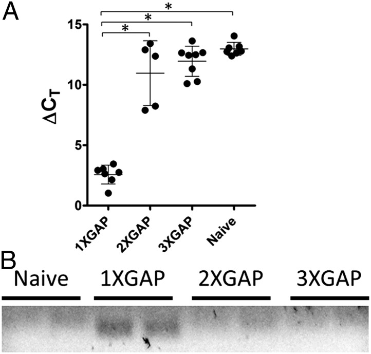 Fig. 5.