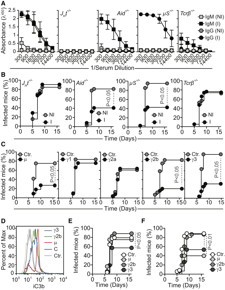 Figure 5