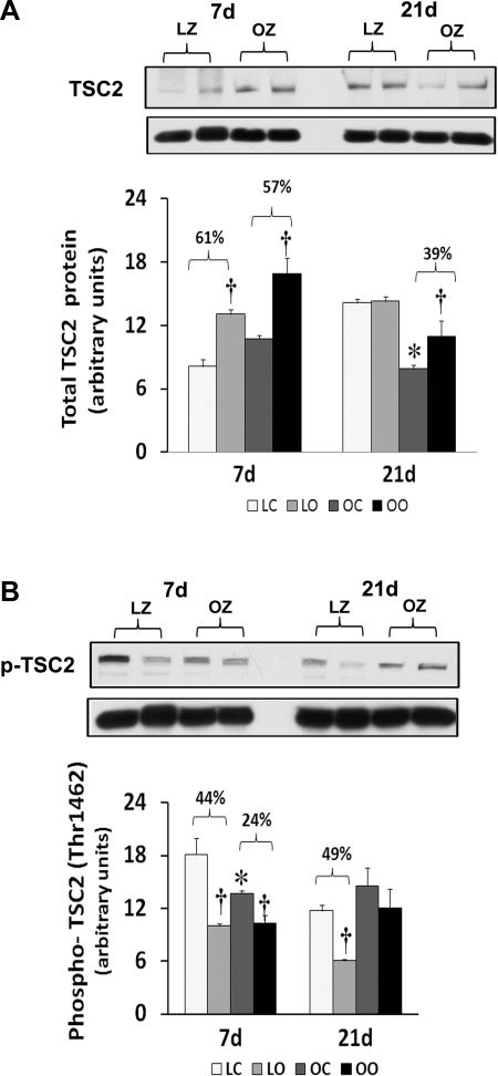 Fig. 9.