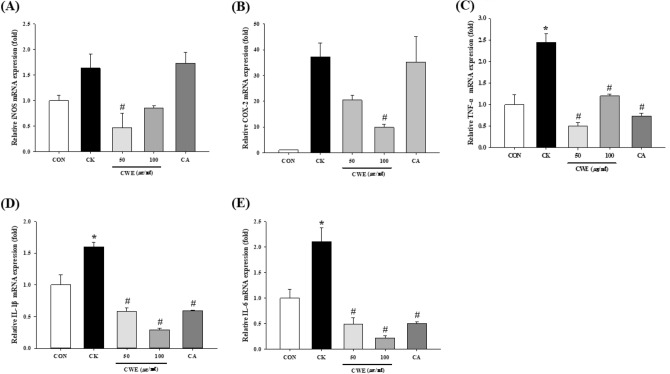 Fig. 4