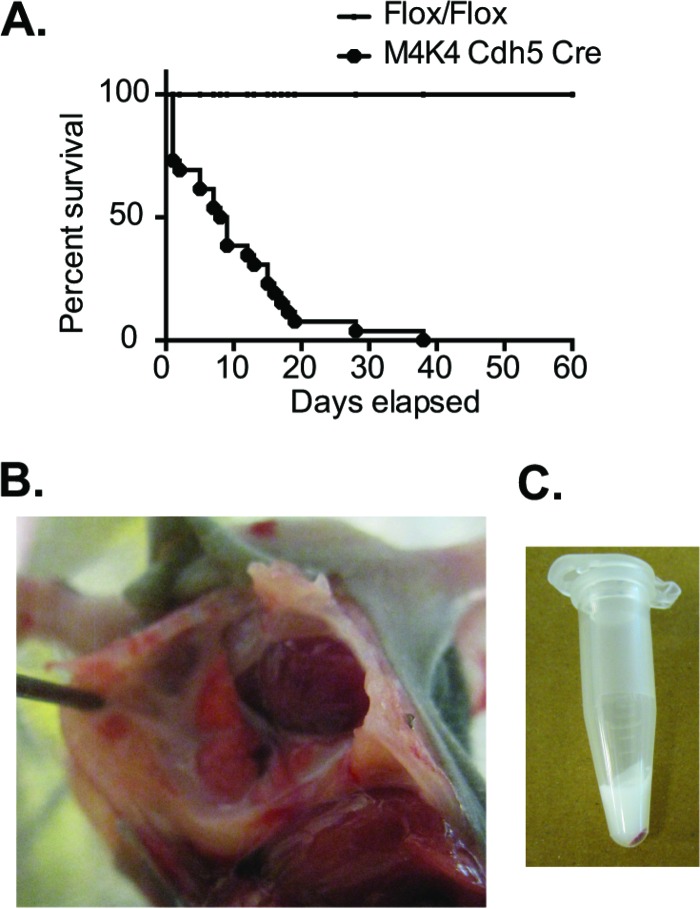 FIG 1