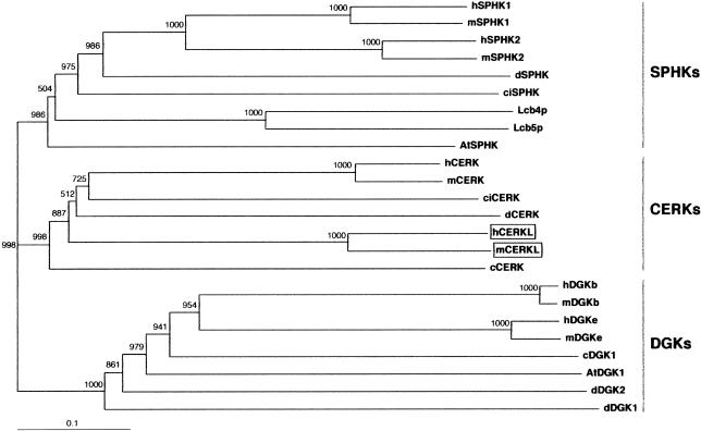 Figure  3