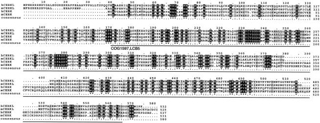 Figure  2