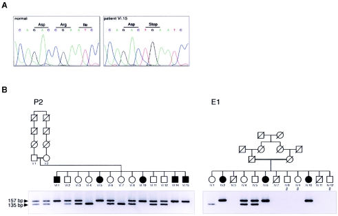 Figure  4