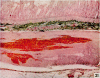 680-9