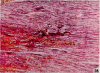 680-13