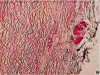 680-7