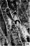 680-11