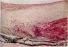 680-15