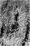 680-11