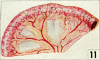 680-1