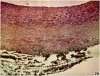 680-15