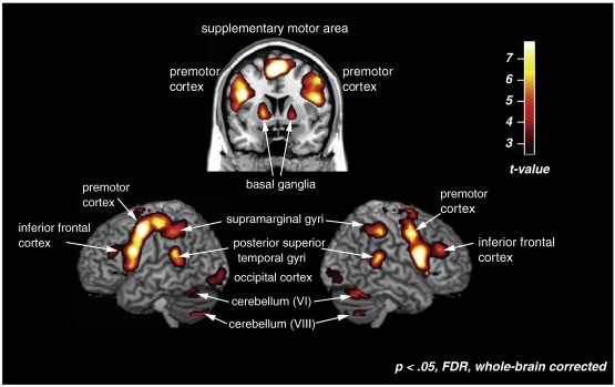 Fig. 3