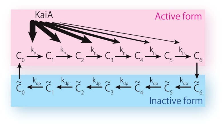 Fig. 1.