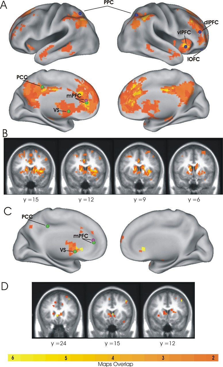 Fig 5