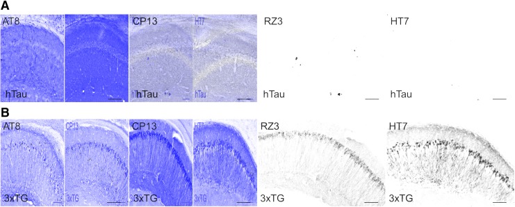 FIG. 11.