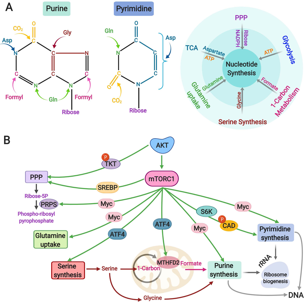 Fig. 4: