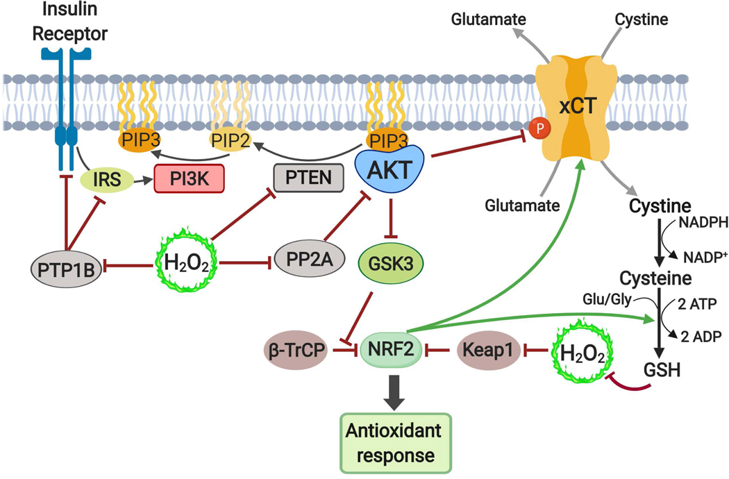 Figure 6: