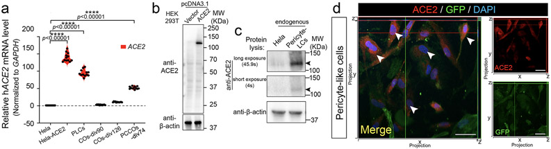 Extended Data Fig. 1 ∣