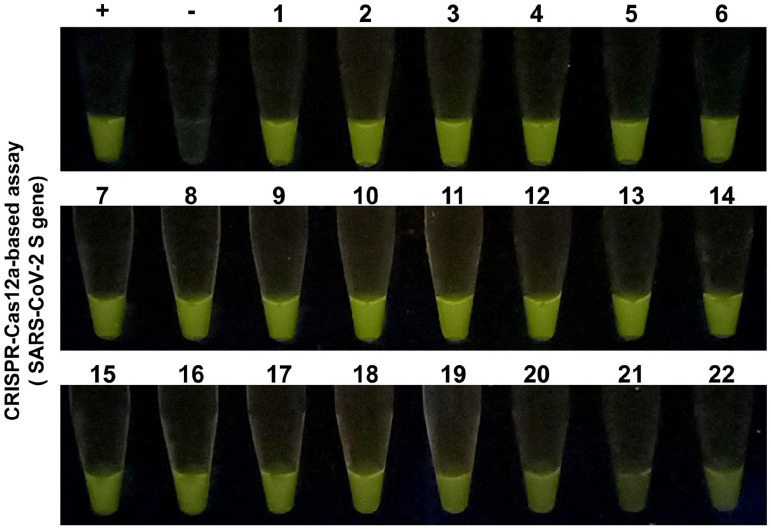 Figure 5.