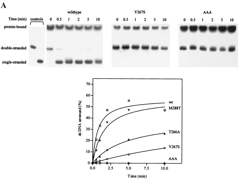 FIG. 6