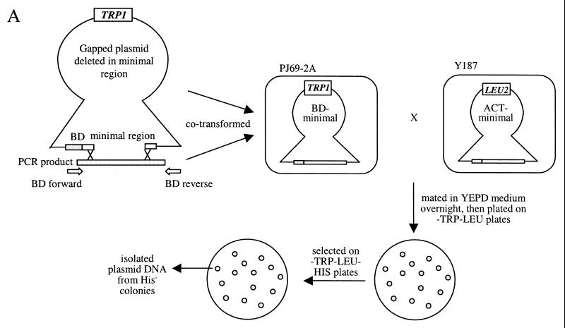 FIG. 4