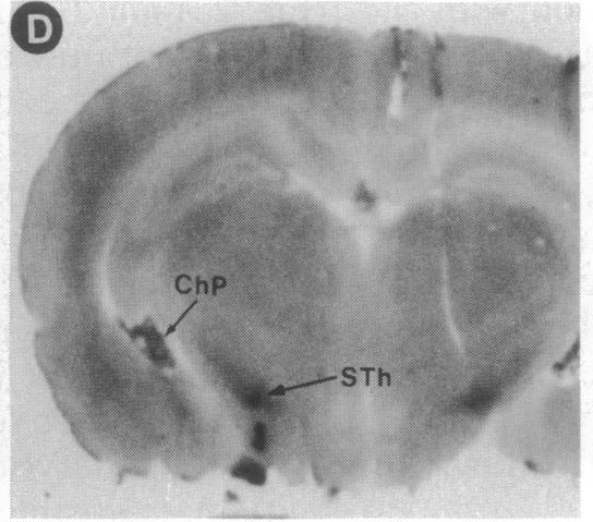 graphic file with name pnas01059-0274-d.jpg